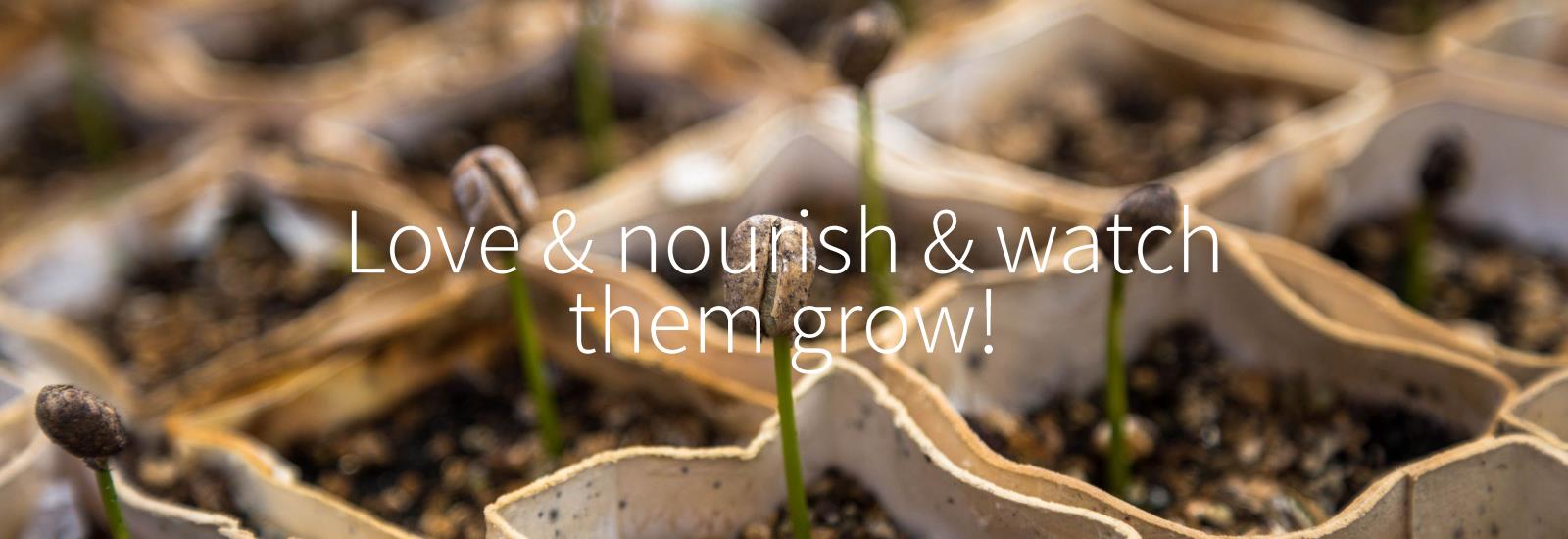 Encouraging a healthy relationship with vegetables