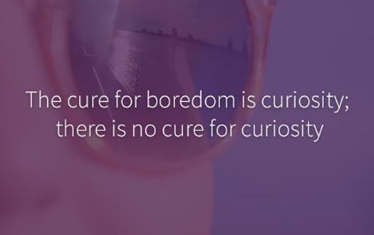 Three ways to create a culture of curiosity